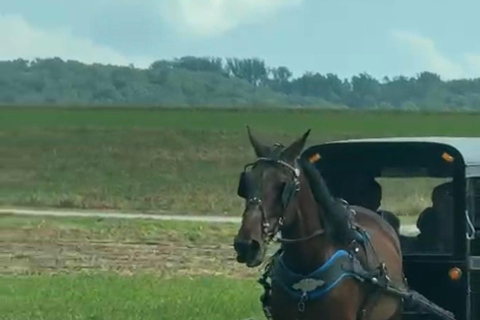 New York – Discover Philadelphia and the Amish Community on a One-Day Tour
