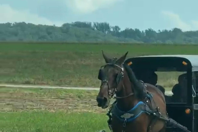 New York – Discover Philadelphia and the Amish Community on a One-Day Tour