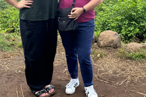 San Salvador: wycieczka do Suchitoto i historycznego centrum miasta