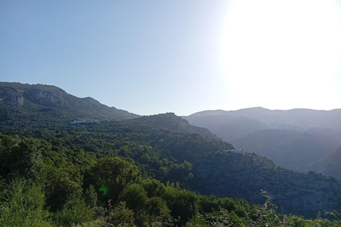 Dénia & Jávea: Fontilles Sanatorium & Vall de Laguar Tour