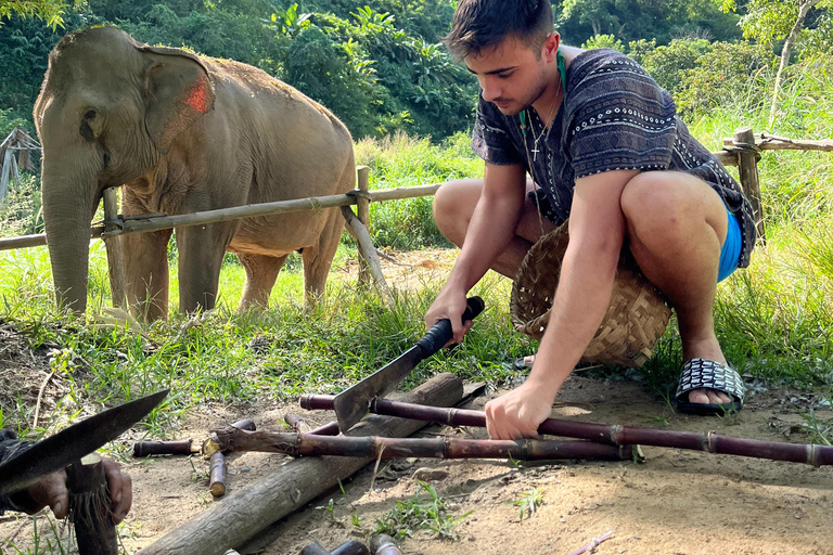 Chiang Mai: Ethical Elephant Experience with Bamboo Rafting