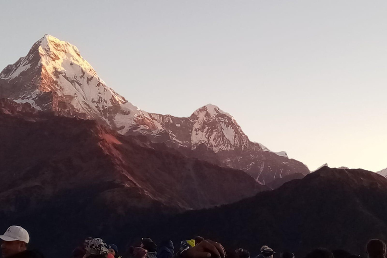 Découvrez la magie de Poon Hill : Un trek de 4 jours au départ de Pokhara