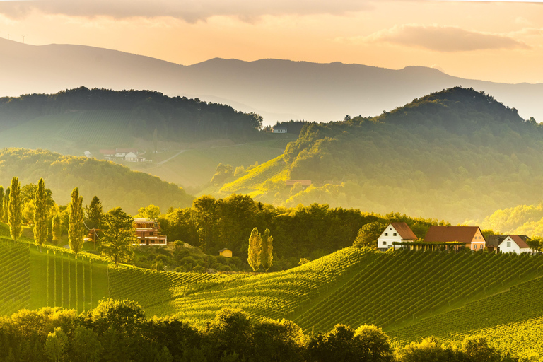 从维也纳出发：瓦豪谷一日旅行（含葡萄酒品鉴）从维也纳出发：瓦豪谷葡萄酒品鉴一日旅行
