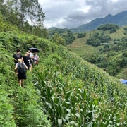 Explore Sapa by TrekkingAdventures: Mountains and Rice Fields Explore Sapa by TrekkingAdventures: Mountains and Rice Fields