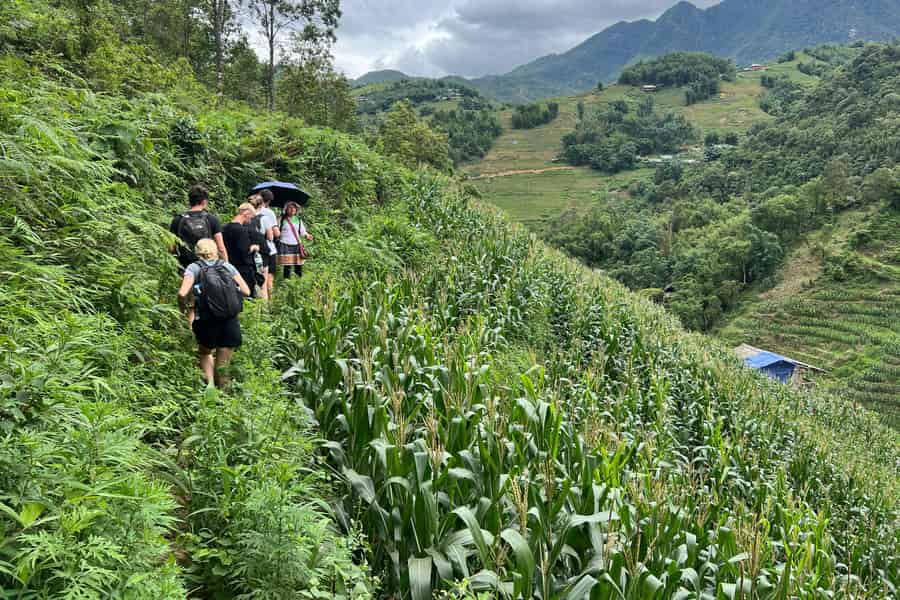 Sapa erkunden mit TrekkingAdventures, Berge, Reisfelder. Foto: GetYourGuide