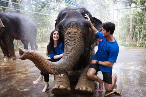 Krabi: Kayaking at Klong Nam Sai, Elephant Bathing & Feeding
