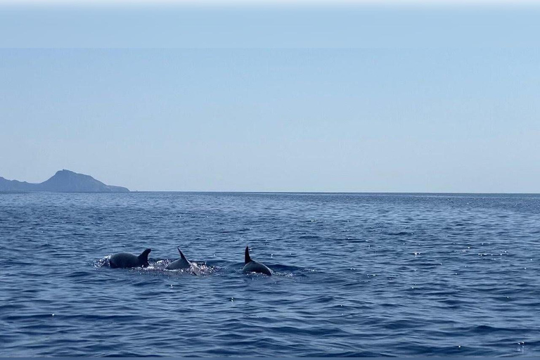 Cargèse: Capo Rosso "Snorkeling" and Sea Cave Tour Cargèse: Capo Rosso ramble with fins, mask and snorkel