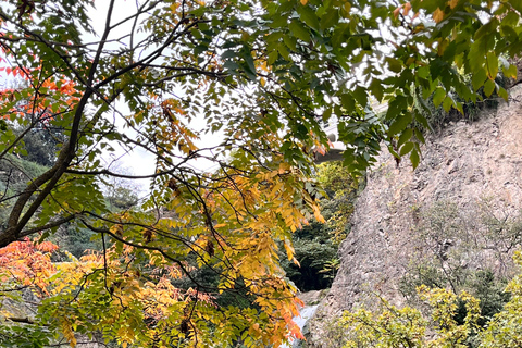 تبليسي: الشلالات والتلفريك وفرص التقاط الصور الخلابةتبليسي: شلالات وتلفريك وفرص لالتقاط صور خلابة