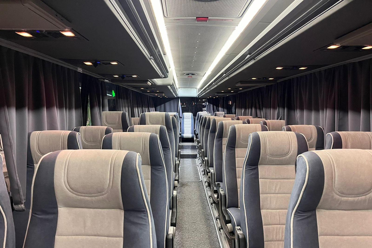 Da Almaty: Escursione di un giorno a Kolsay, ai laghi Kaindy e al canyon di Charyn