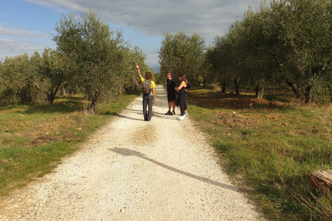 Desde Florencia: tour en bicicleta por la Toscana con almuerzo y degustación de vinos