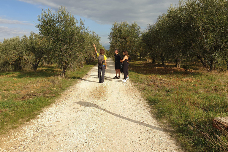 Vanuit Florence: fietstocht door Toscane met lunch en wijnproeverij