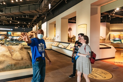 Chicago : billet pour le Field Museum of Natural History ou visite VIPBillet d'entrée au musée Discovery Pass