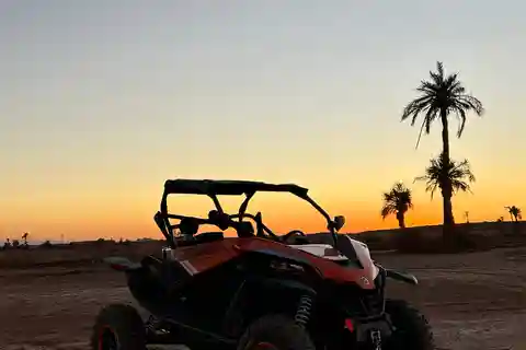 Marrakech: Buggy-tur i palmelunden ved solnedgang