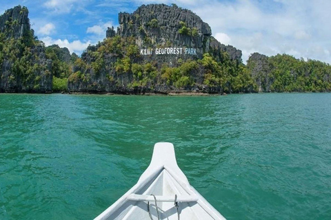 Langkawi: Tanjung Rhu Mangrove Speedboat TourWspólna łódź z prywatnym transferem i lunchem