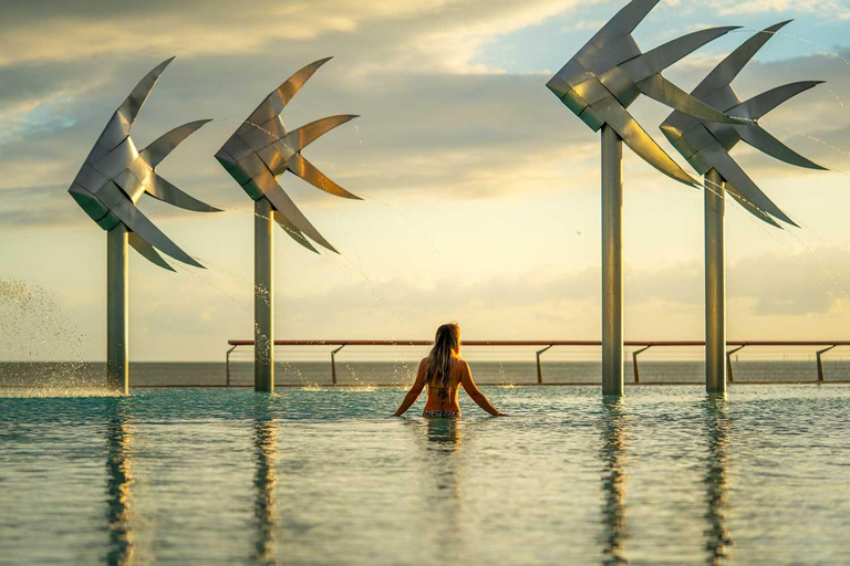 Cairns : Visite guidée de la forêt tropicale, du littoral et des sites touristiques