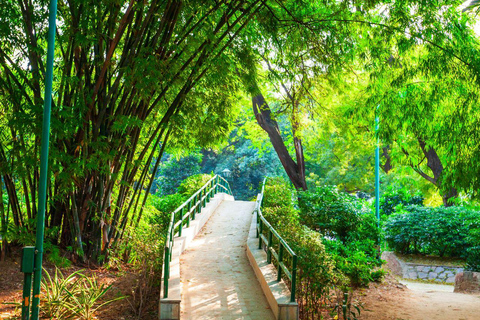 دلهي: جولة ليوم واحد في الأيورفيدا والثقافة والطهي