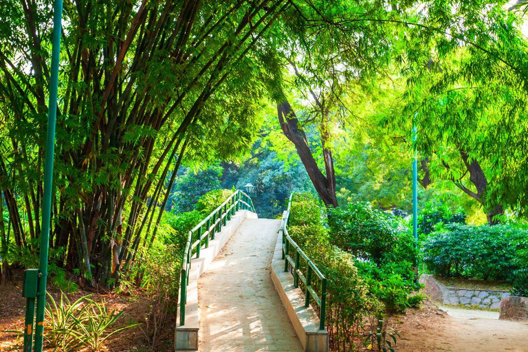 دلهي: جولة ليوم واحد في الأيورفيدا والثقافة والطهي