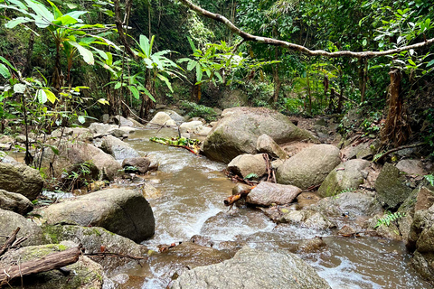 Chiang Mai 2-Day Adventure: Trekking, Tubing & Waterfalls 1-Night Jungle Stay - Trek, Tubing & Waterfall