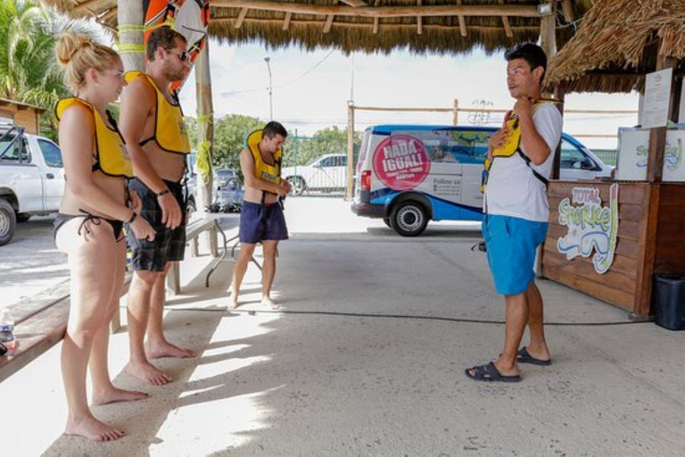 Desde Cancún: Excursión de Snorkel con Tortugas