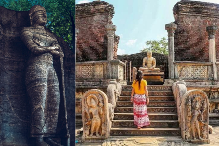 Polonnaruwa Cycling: Paddy-Field Lunch with Eco Park Safari All-Inclusive Package