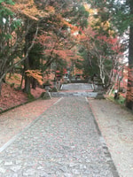 Wandelingstour door Takayama - Housity