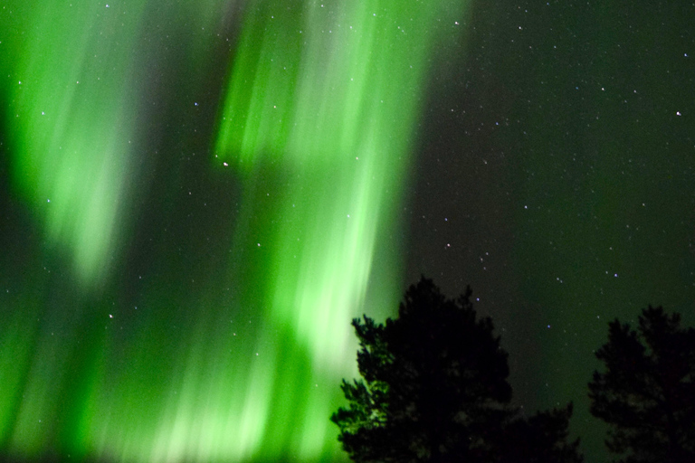 Saariselkä: Aurora Hunting Tour with Northern Lights Experts
