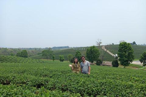 Chiang Rai: Northern Thailand Tour with Golden Triangle