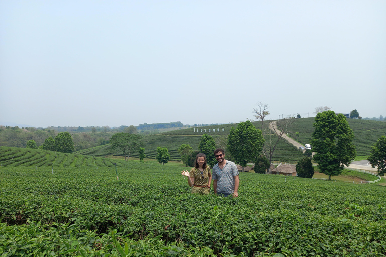 Chiang Rai: Northern Thailand Tour with Golden Triangle