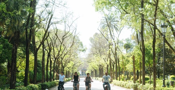 Seville: Urban E-Bike Rental