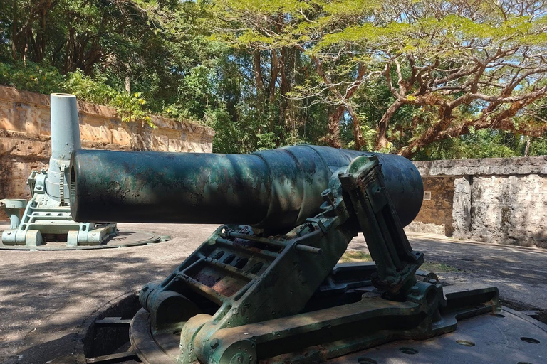 From Manila: Corregidor Island Guided Tour with Lunch