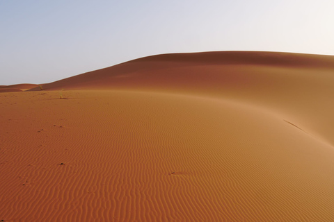 Marrakech to Fes 3 day Desert Tour Camel & luxury Tente Marrakech to Fes 3 day Desert Tour Standard Desert Tents