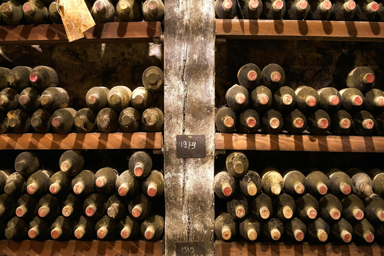 Florenz: Tolle Chianti-Wein- und Olivenöl-Tour mit MittagessenWein und Olivenöl – ein echtes Erlebnis