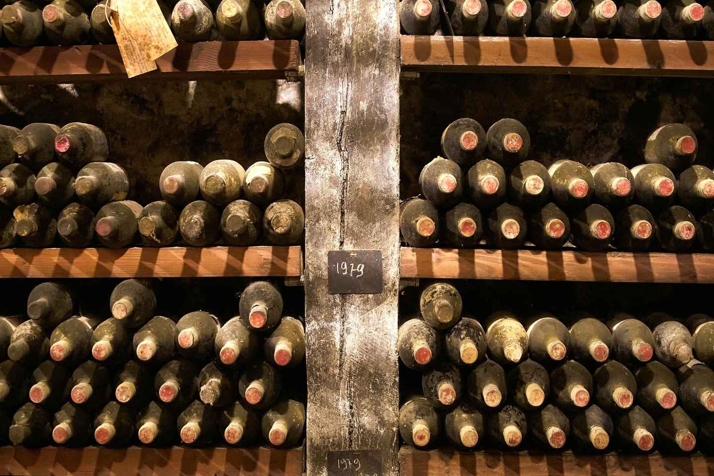 Florence: Great Chianti Wine and Olive Oil Trail with Lunch