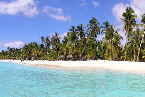 Von Punta Cana aus: Saona Island Katamaran und Speedboat ...