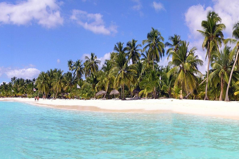 Från Punta Cana: Katamaran och motorbåt till Saona Island ...