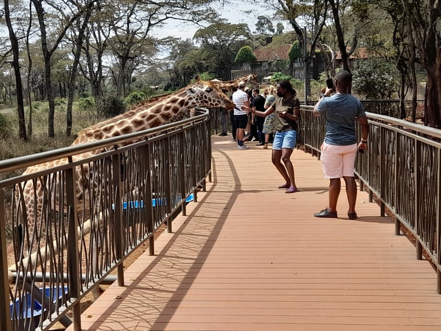 Nairobi national park,David sheldrick,GiraffeCenter:half day