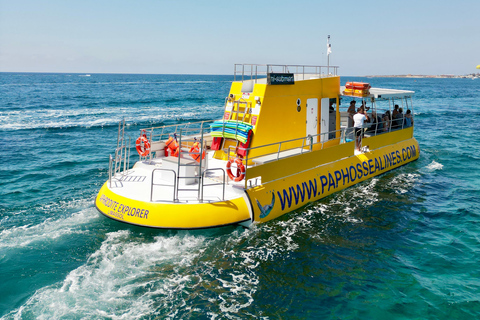 Pafos: Crucero a nado de 2 horas con observación de tortugas y bebidas