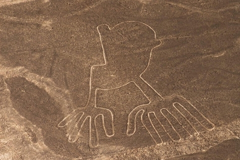 Journée complète de survol des lignes de Nazca - Départ d'Ica