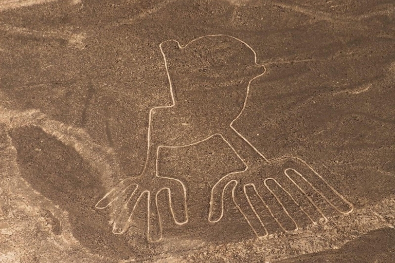 Full Day Nazca Lines Overflight - Departure from Ica