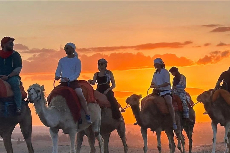 Marrakech: Excursão ao deserto de Agafay com quadriciclo, passeio de camelo e jantar