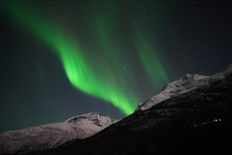 Tromsø: Northern Lights Tour with Local Guide and Photos