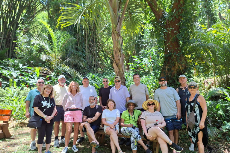 Fiji: Private Tour with Garden of the Sleeping Giant