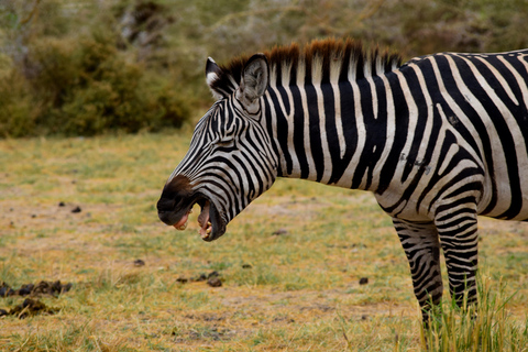 Viaggio di due giorni al Lago Manyara con canoa e passerella tra le cime degli alberiCampeggio a Karatu