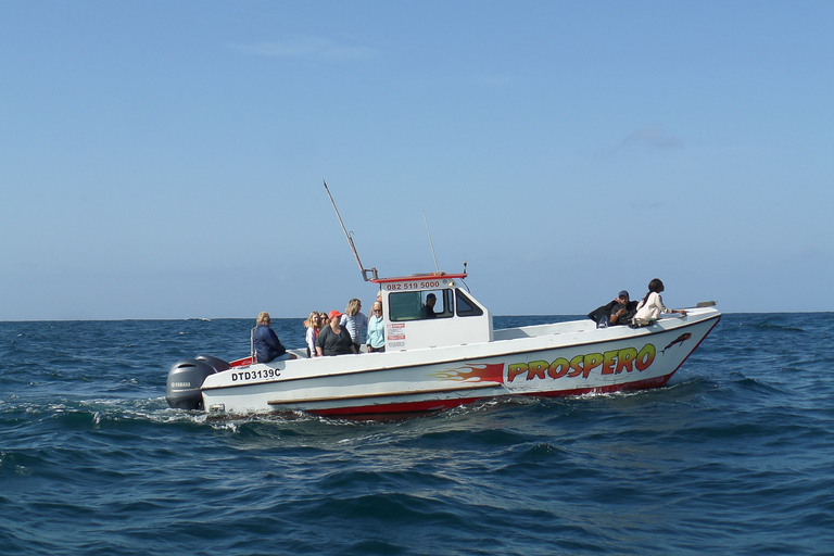 Durban: Bootsfahrt im Hafen