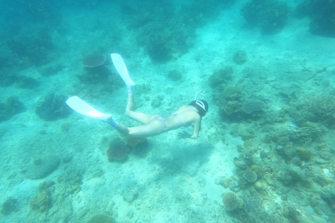 Coron: Observación de dugongos con visita a las tortugas marinas y al Jardín de Coral