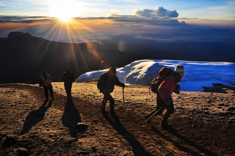 The best 9 days Nothern Circuit Route Kilimanjaro Climbing