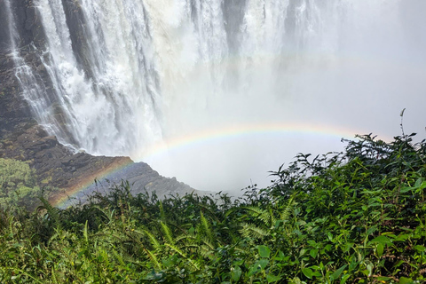 Explore Victoria Falls & Mosi‑oa‑Tunya Exclusive Guided Tour