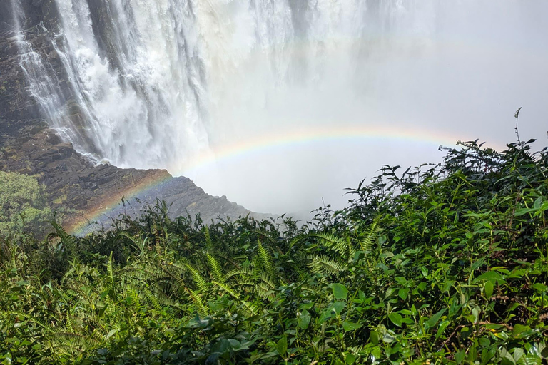 Explore Victoria Falls & Mosi‑oa‑Tunya Exclusive Guided Tour