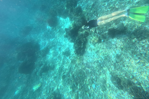 Labuan Bajo: Honeymoon Package Komodo Island Tour