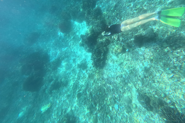 Labuan Bajo: Honeymoon Package Komodo Island Tour